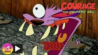 Courage The Cowardly Dog | Paper Imposters | Cartoon Network