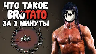 Что такое BROTATO за 3 минуты. Краткий обзор