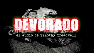 DEVORADO:  El audio de Timothy Treadwell