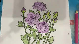 Color the picture of roses