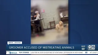 Valley groomer accused of mistreating animals