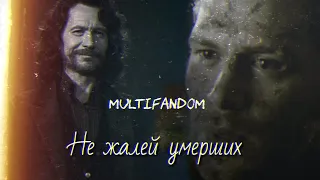 ❌Не жалей умерших || multifandom