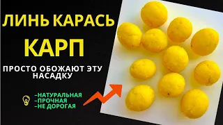 Насадка для рыбалки на ЛИНЯ, КАРАСЯ, КАРПА, ЛЕЩА. Натуральная, прочная, не дорогая.