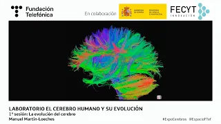 Laboratorio: El cerebro humano y su evolución. 1ª Sesión: La evolución del cerebro humano