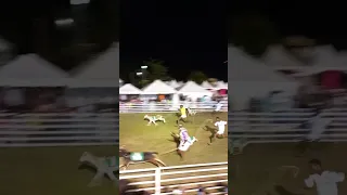 Goat Race Tobago 2023
