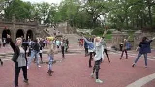 Carl and Drew's Flash Mob Marriage Proposal in Central Park