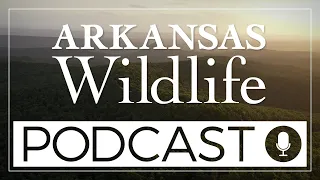 Arkansas Wildlife Podcast Episode 2- Bears with Clay Newcomb