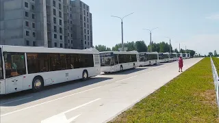Новые автобусы МАЗ-203.016 в Бобруйске! (26.06.2021)
