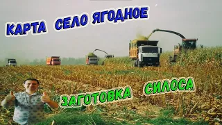 ✅FARMING SIMULATOR 19 🔵ЯГОДНОЕ🔺ЗАГОТОВКА СИЛОСА#ИГРА С ПОДПИСЧИКАМИ#ПРЯМОЙ ЭФИР