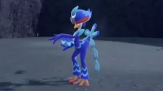 Quaqaval - Quaxly Final Evolution in Pokemon Scarlet and Violet