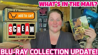 BLU-RAY COLLECTION UPDATE - Scream Factory, Amazon, Review Copies and Subscriber Mail!