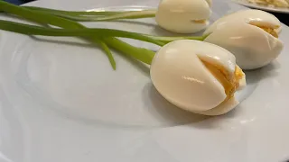 Egg Tulips