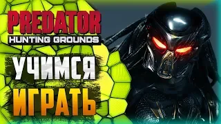 Predator: Hunting Grounds - ОБТ - ОСВАИВАЕМ ИГРУ ЗА ХИЩНИКА!