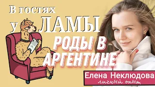 Жизнь русских в Аргентине. Интервью с Еленой Неклюдовой про РОДЫ В АРГЕНТИНЕ.