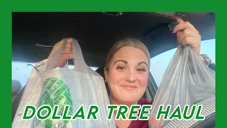 Dollar Tree Haul #dollartree #dollarstorefinds #dollartreehaul #dollartreeshopping