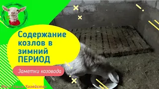 ПОГОВОРИМ! Бетонный пол с подстилкой сено для коз