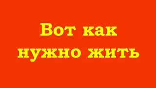 Вот как нужно жить