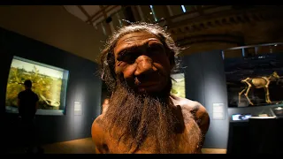 L'evoluzione umana: I cugini neandertal - Puntata 6