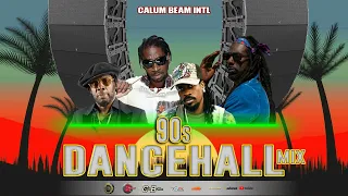 90S DANCEHALL MIX - BUJU BANTON,SHABBA RANKS,BEENIE MAN,TERROR FABULOUS,BOUNTY KILLER