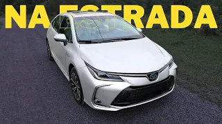 Toyota Corolla Híbrido 2024 na estrada! Supera HAVAL H6 e BYD SONG PLUS no consumo! e o preço?