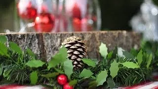 Outdoor Christmas Picnic