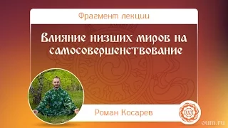 Влияние низших миров на самосовершенствование. Роман Косарев