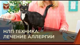 💢 Техника НЛП: Лечение аллергии