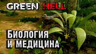 Айболит из лесов Амазонки. Лечение в Green Hell