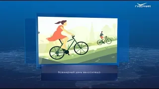 Всемирный день велосипеда. Календарь губернии от 3 июня