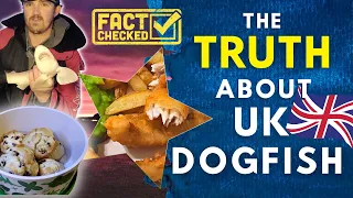 The Best Fish and Chips Ever! EAT DOG FISH PLEASE | How to Catch & Cook The UK Shark Mini Species