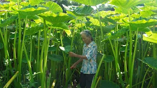 比人還高的芋苗，有人丟它餵豬餵鴨，有人餐餐送粥是它｜Grandma uses taro leaves to make traditional Chinese food｜广西 美食 玉林阿婆