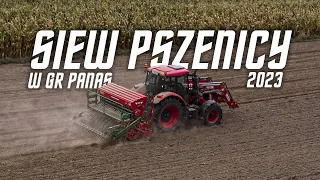 Siew Pszenicy 2023 | GR Panas | Zetor Forterra 130 HSX & Agro Masz SN-300 | Agro FilNas