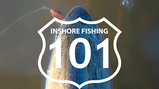 Inshore Fishing 101: Never Get Skunked Blueprint