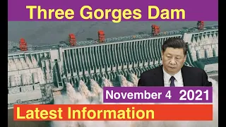 China Three Gorges Dam Latest Information ● 174meters ● November 04, 2021  ●Water Level and Flood