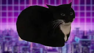 Maxwell the Cat REMIX #synthwave