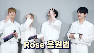 LA POEM (라포엠) Rose 응원법