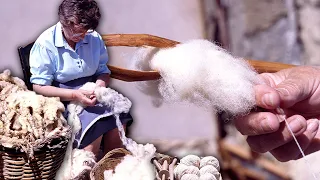 Sheep wool to create threads and balls. Traditional shearing, carding and spinning technique