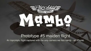 Mambo - prototype 5 flight