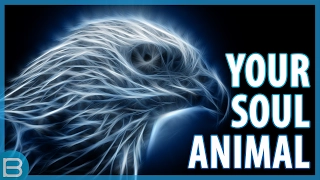 What Is Your Spirit Animal?