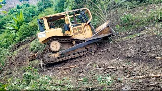 good job BULLDOZER D6R XL Working to clean up abandoned plantation land