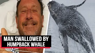 Man Swallowed By Humpback Whale In US Describes Encounter | Cobrapost