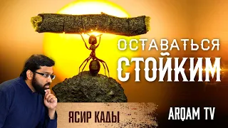 Оставаться стойким и решительным в смутные времена | Ясир Кады