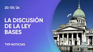 Ley bases: el Senado mañana retoma el debate