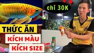 Thức ăn kích màu kích size cho cá thủy sinh | Nguyễn du aqua