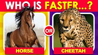 Would You Rather...? Animals Edition