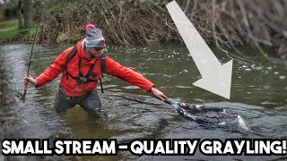 Small Stream Grayling Euro Nymphing