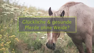 Pferdehaltung ohne Weide - geht das überhaupt?