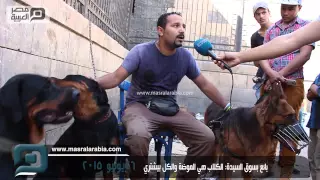 مصر العربية |  بائع بسوق السيدة: الكلاب هي الموضة والكل بيشتري
