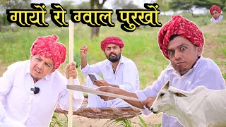 गायों रो ग्वाल पुरखों || राजस्थानी मारवाड़ी कॉमेडी || Dilu Dada Comedy Video