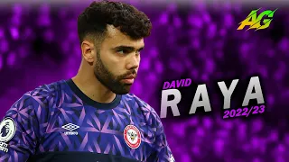 David Raya  2023 ● The Wall ● Crazy Saves - HD